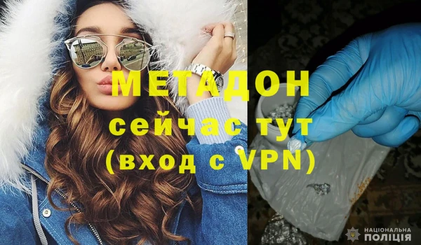 прущие грибы Верея