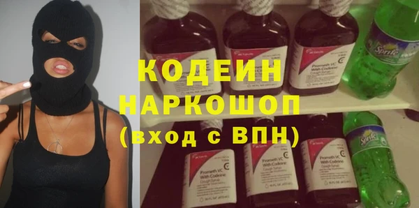 прущие грибы Верея