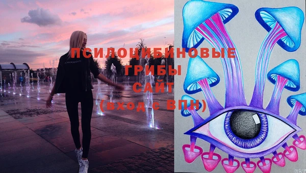 не бодяженный Верхний Тагил
