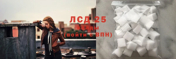 прущие грибы Верея