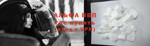 прущие грибы Верея