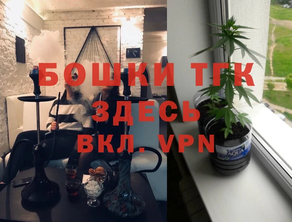прущие грибы Верея