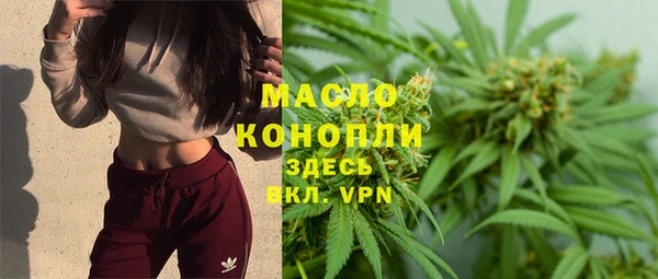 прущие грибы Верея